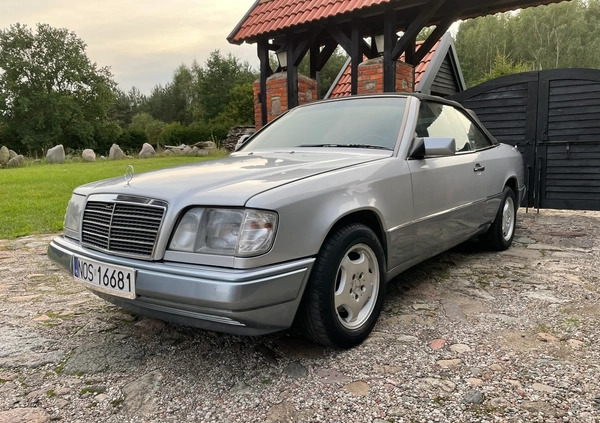 Mercedes-Benz Klasa E cena 63500 przebieg: 187005, rok produkcji 1995 z Morąg małe 436